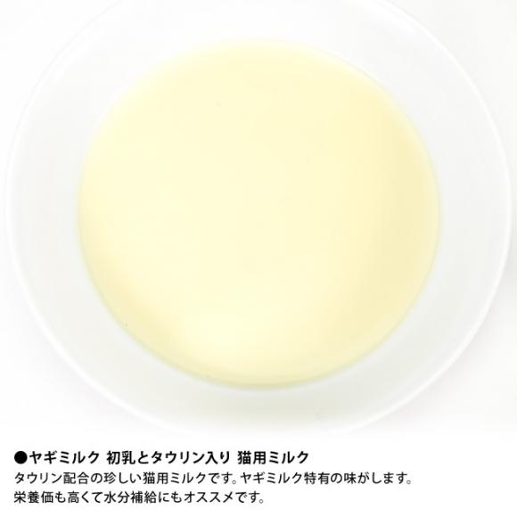 �v���~�[ ���M�~���N �����ƃ^�E�������� �L�p�~���N 60g (44706) Pramy �p�E�` �R�r�~���N