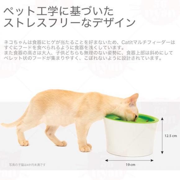 GEX Cat it LbgCbg }`tB[_[ zWzWtH Cati (24735)