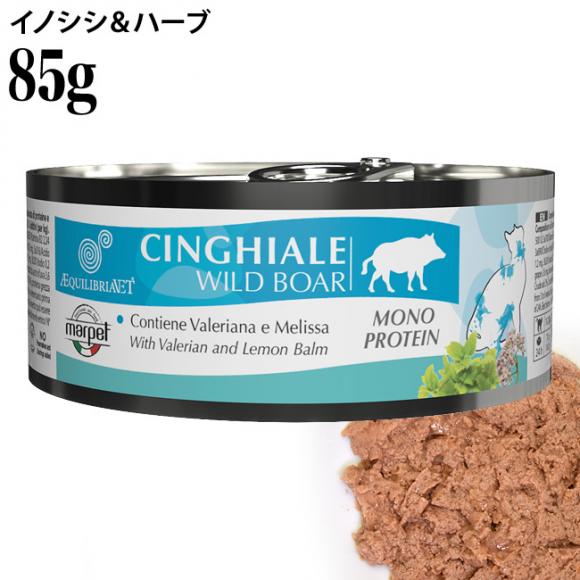 EQUILIBRIA GNCuA CmVV&n[u 85g (02112) L EFbgt[h