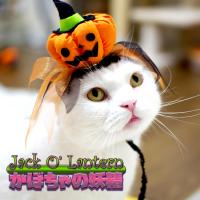 SɂIWi 2016 nEB Jack O' Lantern ڂ̗d