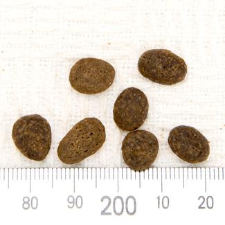 AJi nCGXgveC OXh Lbg 340g (14697)  ACANA  hCt[h SNp h{HyKiz