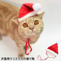 T^Xq (21476) Lp ybgp 蕨 RXv NX}X T^N[X Cxg