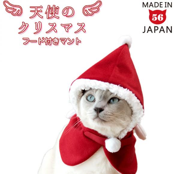 SɂIWiL Vg̃NX}X t[ht}g (18452) LpRXv