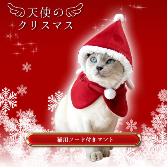 SɂIWiL Vg̃NX}X t[ht}g (18452) LpRXv