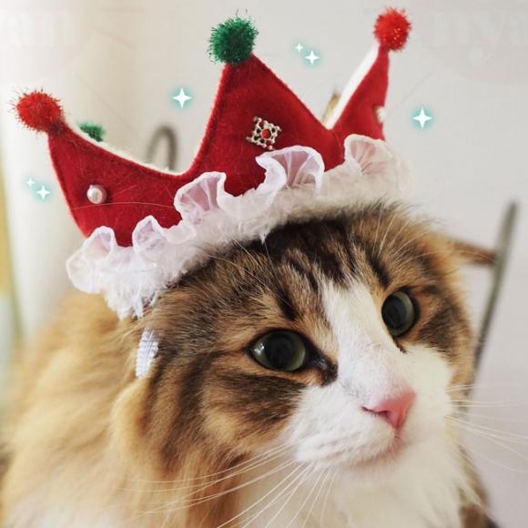 SɂIWi NX}X LNE NX}XVer LpRXv