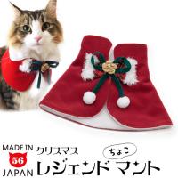 SɂIWi NX}X WFh 傱}g LpRXv