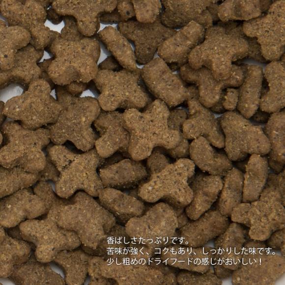 WYSONG C\ (C\O) Geriatrx WAgNX FELINE DRY DIET VjALp 500g (12132) LphCt[h VLpLbgt[h v~At[h