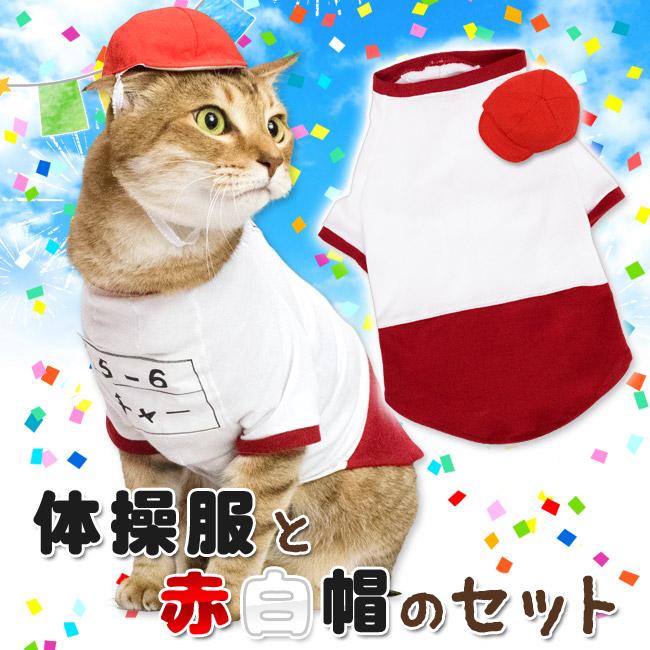 猫専門店ゴロにゃん☆公式通販サイト｜猫の首輪・猫用品・フード｜体操