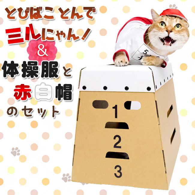 猫専門店ゴロにゃん☆公式通販サイト｜猫の首輪・猫用品・フード｜とび