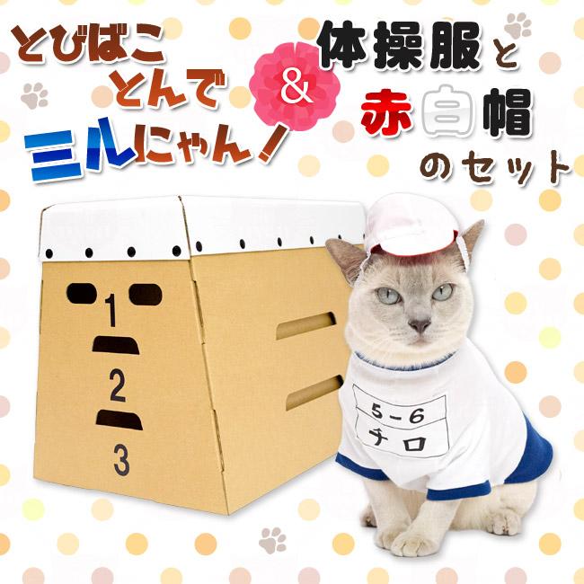猫専門店ゴロにゃん☆公式通販サイト｜猫の首輪・猫用品・フード｜とび