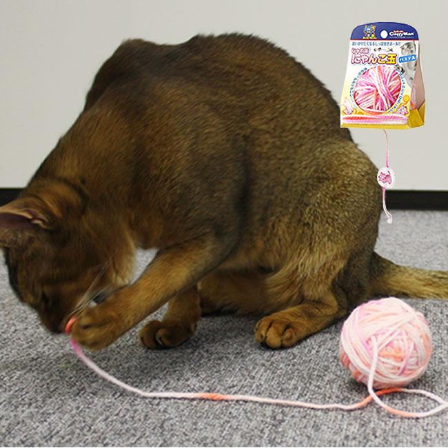 ドギーマンハヤシ じゃれ猫ﾏﾀﾀﾋﾞぐねぐねﾃﾞﾝﾀﾙ ねずにゃん