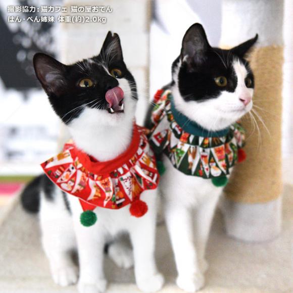 SɂIWi NX}X X'mas ڂڂL