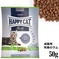 HAPPY CAT nbs[Lbg Ji[ Lp t@[(q{̃) 50g (40071) (Xv[ Cf) hCt[h Tv