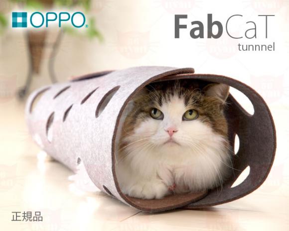 yOPPO FabCat tunnel (6267)z