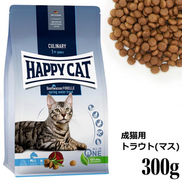 HAPPY CAT nbs[Lbg Ji[ Lp XvOgEg 300g (40316) hCt[h