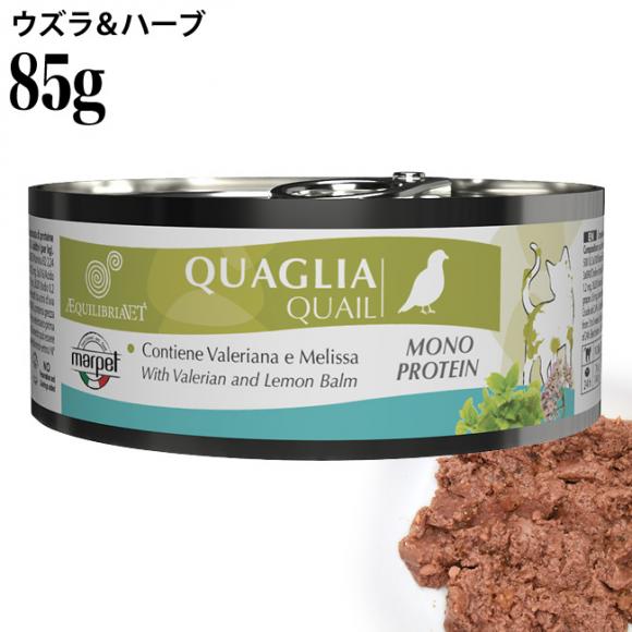 EQUILIBRIA GNCuA EYn[u 85g (02921) L EFbgt[h