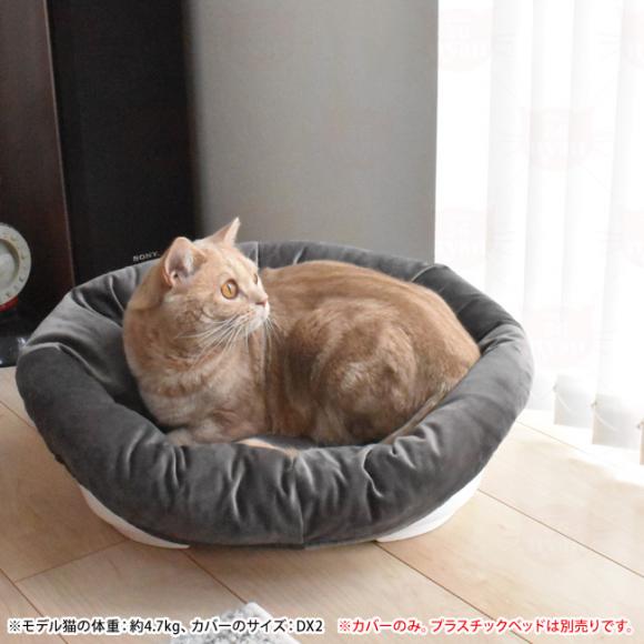 SIESTA VGX^DX4 MTCYpH~Jo[ \t@NbV4 vXe[W (32433)yJo[̂݁z