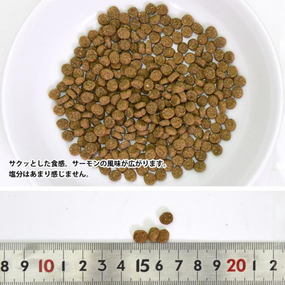 EFlXRA ̏dǗp(1Έȏ) T[ 400g (51883) Wellness h{H ς sgp OCt[ hCt[h