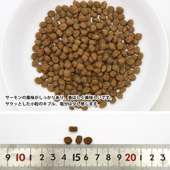 EFlXRA Lp(1Έȏ) T[ 800g (51494) Wellness h{H ς sgp OCt[ hCt[h