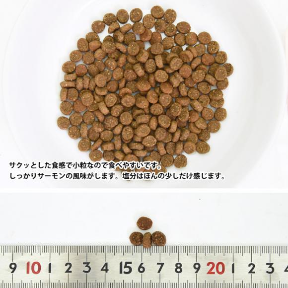 EFlX RA_CWFXeBuwX Lp(1Έȏ) T[ 400g (52477) Wellness PA h{H hCt[h