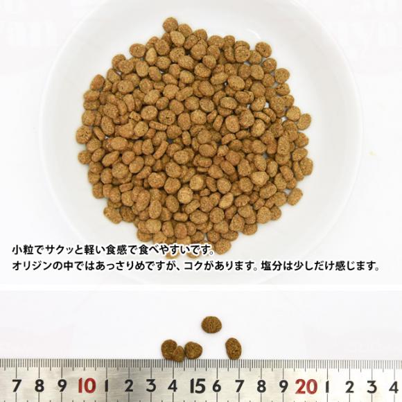 IW K[fBA8 Lbg 1.8kg (18916)